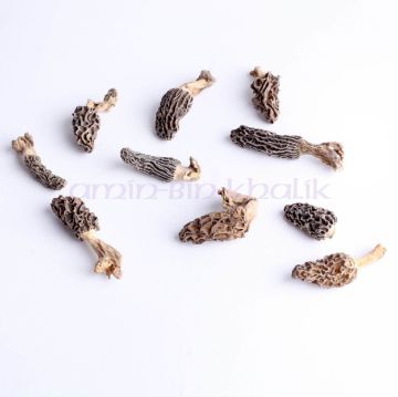 pack of guchhi mushroom fifty grams of guchhi mushroom