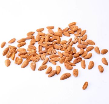 iranian mamra almonds organic mamra almonds