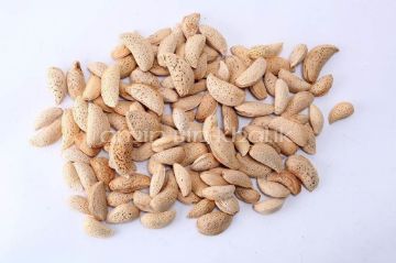 soft shell almonds afghanistan organic in-shell almonds